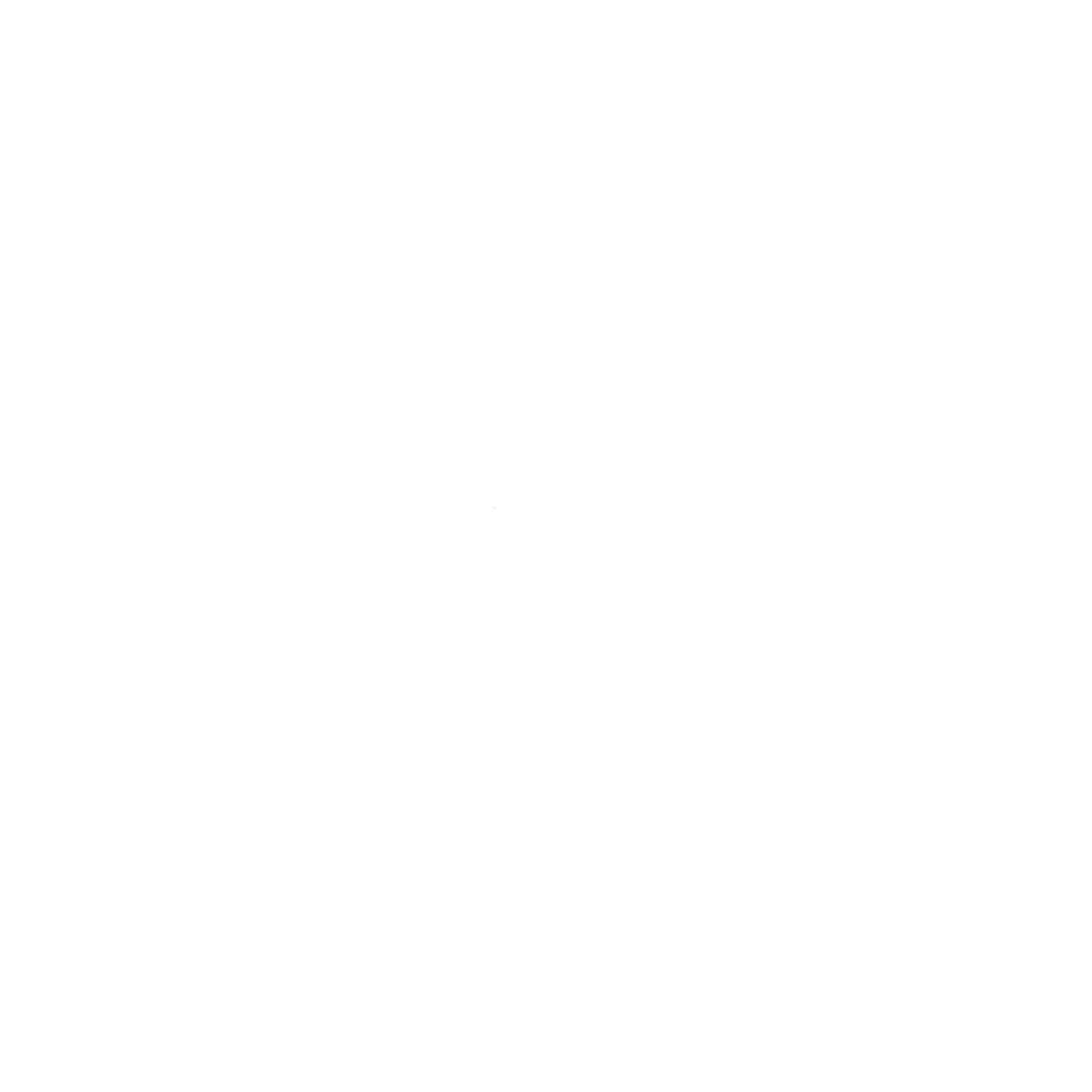 Logo blanco letras VR, visual race